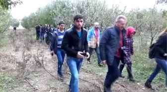 OMÜ Tarım Bölümü Öğrencileri Çiftlikte Ders Gördü