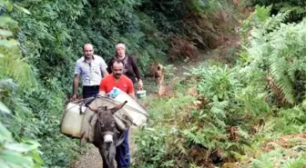 Kastamonu'da Evlerine Eşeklerle Su Taşıyorlar