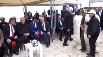 Tokat - Tarım Fuarında 'En Güzel Keçi' Yarışması