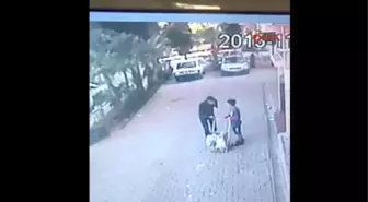 Adana - İşitme Engelli Çocuğun Cebindeki 40 TL ve Satacağı 3 Litre Sütü Gasp Etti