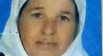 Yatağan'da Miras Kavgası, 1 Ölü