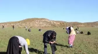 Gökten Meteor Yağan Köyün Sakinlerinin Kazancı 1 Milyon Lirayı Geçti