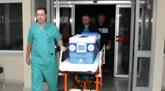 Beyin Ölümü Gerçekleşen Hasta, 3 Kişiye Hayat Verecek