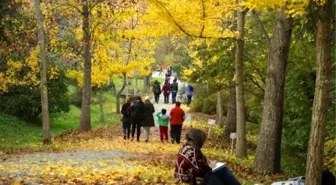 Sonbaharın Tüm Renkleri Atatürk Arboretumu'nda