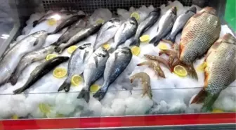 Kuzey Irak Türkiye'den Su Ürünleri İstiyor