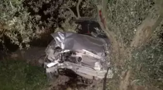 Otomobil Zeytinliğe Uçtu: 3 Yaralı