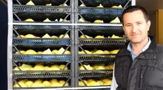 Rusya'ya İhracat Yapan Meyve Üreticileri Tedirgin