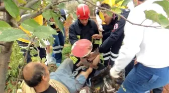 Bacağını Çapa Makinesine Kaptırdı