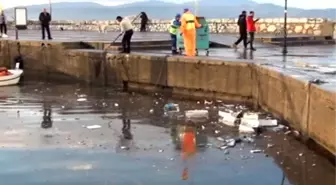 Bandırma'da Çöpler Lodos Nedeniyle Sahile Vurdu