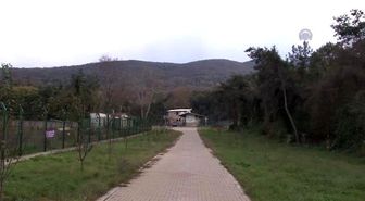 Yenilenen Yaşam Alanlarında 'Kış Uykusu'Nu Bekliyorlar