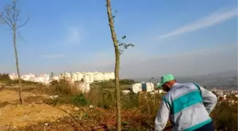 İzmit Belediyesi Mahallelerin Eksiklerini Gideriyor