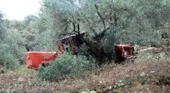 Düğüne Giderken Uçuruma Yuvarlandılar