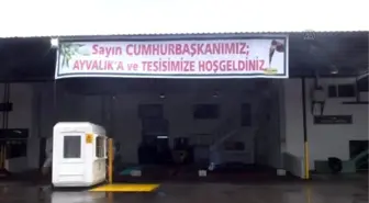 Cumhurbaşkanı'nın 'Zeytin Hasadı' Üreticileri Umutlandırdı