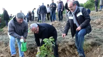 Tekirdağ'a Şifa Ormanı