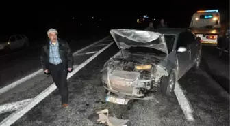 Otomobiller Domuz Sürüsüne Çarptı: 2 Yaralı