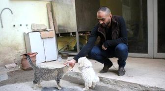 Kedi- Köpek Dostluğu