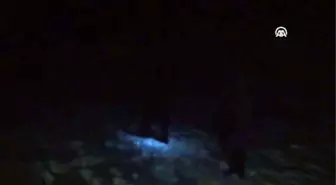Köylülerden Elektrik Tepkisi