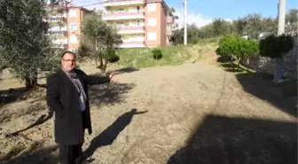 Küçükkuyu Belediyesinden Ücretsiz Düğün Alanı