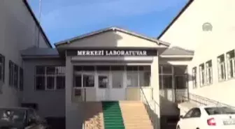 Prof. Dr. Demirkol: Bingöl'e Düşen Göktaşları Nadir Olduğu İçin Değerli