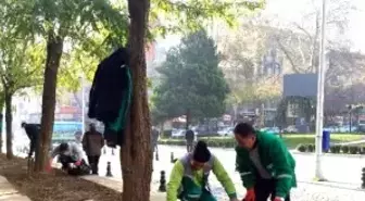 İzmit Parklarına Çiçek Dikimi Devam Ediyor