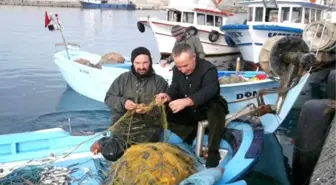 Balıkçılar Emeklerinin Karşılığını Alamamaktan Şikayetçi