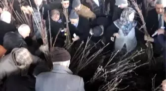 Emekliye Fidan Dağıtımında İzdiham