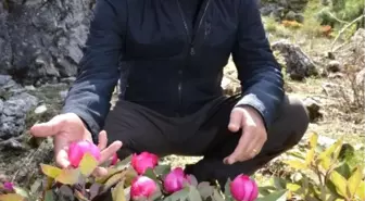 Expo Genel Sekreteri Suiçmez Görevden Alındı