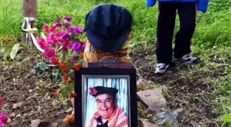 Mahkeme Kararını Bodrumlu Çevrecinin Mezarına Götürdüler