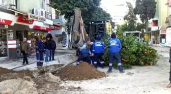 Seyhan Belediyesi'nin Ağaç Duyarlılığı