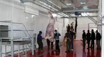 Başkale'ye Modern Mezbahane