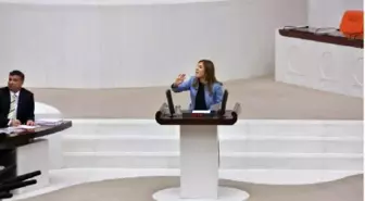 AK Parti Grup Başkanvekili'nin Dili Sürçtü: Biz Hırsız Değiliz Demiyoruz