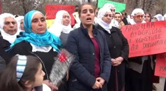 Batman Hdp'li Başaran: Barışın ve Çözümün Anahtarı İmralı'da