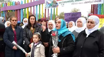 HDP'li Vekil Başaran: Öcalan'ın Üzerindeki Tecrit Kaldırılsın