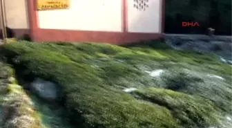 Rize -Çamlıhemşin Eski Belediye Başkanı ve Eşi Kazada Yaralandı