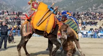 Buharkent Güreşi Festivale Dönüştü