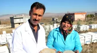 Araban'da Patentli Organik Bal Üretimine Başlandı