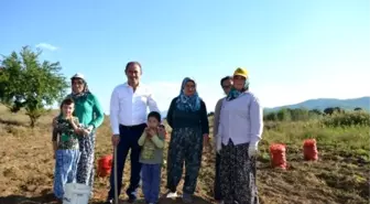 Denizli'ye Ceviz Fidanları İçin 700 Bin TL Aktarıldı