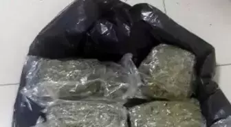 Kargoyla Uyuşturucu Sevkiyatına Tutuklama