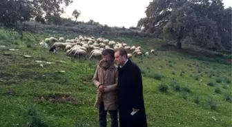 Aydınlı Vekil, Çobanla Koyun Otlatma Sözünü Tuttu