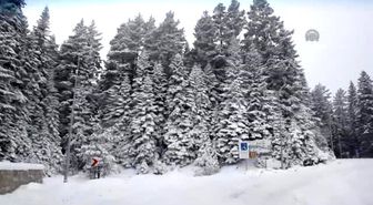 Ilgaz'da Yılbaşı Yoğunluğu