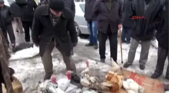 Sivas'ta Yılbaşı Öncesi Satışa Sunulan Hindiler Vatandaştan Yoğun İlgi Gördü