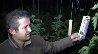 Yeni Yıla Don Nöbetinde Girdiler
