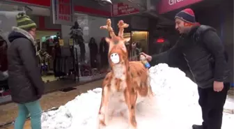 Zonguldak Kardan Geyik İlgi Gördü