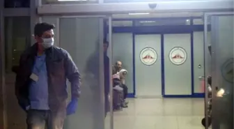 Adana'da Domuz Gribi Paniği