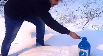 Ülkücüler Karlar Altındaki Sokak Hayvanlarına Yem Bıraktı