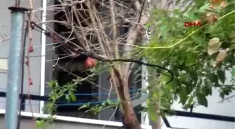 İzmir Genç Kadın Boğazı Kesilmiş Bulundu