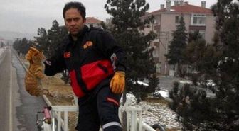Ağaçtan İnemeyen Kediyi İtfaiye Kurtardı