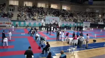 Türkiye Karate Federasyonu Başkanı Delihasan