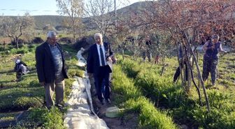 Vicdansız Avcılar Zevk İçin Yırtıcı Kuşları Öldürüyor