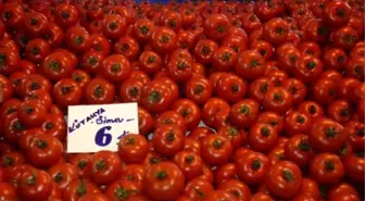Domates Fiyatları Cep Yakıyor